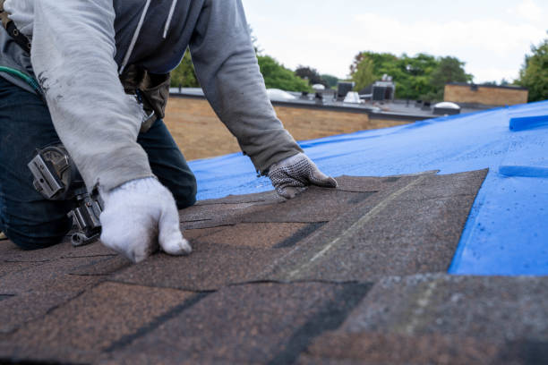 Best Local Roofing Companies  in Metter, GA